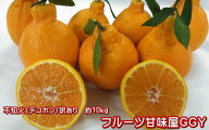 不知火　訳あり　箱込10キロ（9kg+保証分500g）デコポンと同品種　デコみかん　熊本産【送料無料】（一部…
