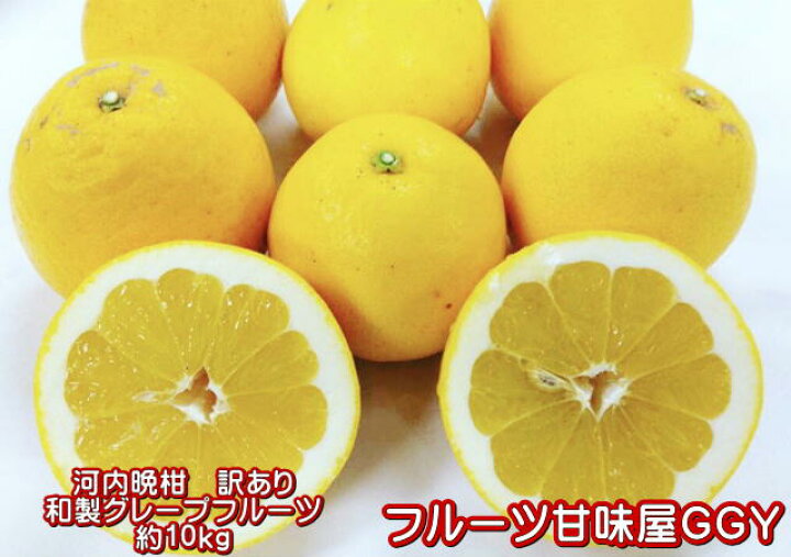 楽天市場】河内晩柑 訳あり 1箱 箱込10キロ（9kg+保証分500g 