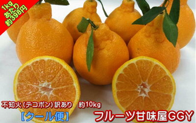 不知火(デコポン)熊本産訳あり10キロ【送料無料】
