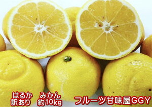 ͂邩@󂠂@10Li9kg+ۏؕ500gj@݂@F{Y@݂ ~J@@nJ@T_݂yzꕔ̒n