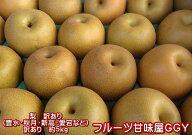 梨　訳あり（豊水・秋月・新高・愛宕など）約5kg（約5〜24玉）熊本産　梨　ナシ　なし　熊本地震　支援　…
