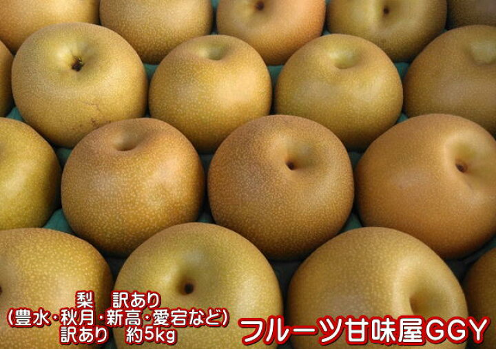 楽天市場 梨 訳あり 豊水 秋月 新高 愛宕など 約5ｋｇ 約5 24玉 熊本産 梨 ナシ なし フルーツ甘味屋ggy