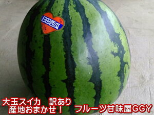 ���i�摜