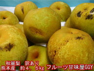 秋麗梨　訳あり　熊本産　約4.5キロ【約8〜24玉】希少品！【送料無料】一部の地域を除く 秋麗　なし　ナ…