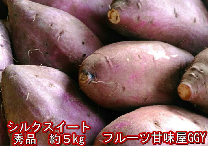 楽天市場 シルクスイート 秀品 蔵出し 約5ｋｇ サイズ 3ｌ 2ｓ さつまいも 蜜芋 熊本産送料無料 一部の地域を除く 鉄腕 Dash テレビ Tv 鉄腕ダッシュ 80サイズ フルーツ甘味屋ggy