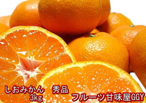 ݂ 3L@Gi@ɎM!!@݂@F{Y @ÂĂI݂i݂jyziꕔ̒nj[F{݂ ݂ Â݂ ݂ F{