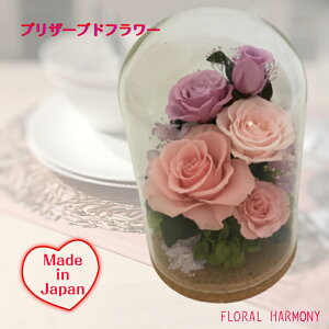 KXh[vU[uht[ ̓Mtg ƁEAEj v[g 蕨 Mtg    j a LO ] z ސE AE JX J \ 