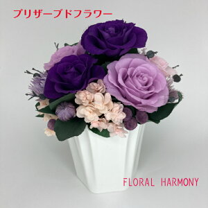 yI[izvU[uht[ Ê   j a hV̓ j uC_Mtg肪Ƃ ߂łƂ v[g 蕨 LO zj  j ԗi