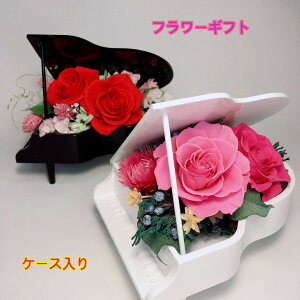 vU[uht[ yMtg OhsAm̉ԃMtg G߂̃Mtg hCt[ sva j  w AE ] z sÑo Ԃo ԑ 