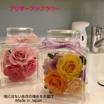 楽天市場】パフュームボトル（花・観葉植物｜花・ガーデン・DIY）の通販
