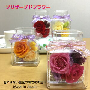 {g vU[uht[ {gt[ ̓Mtg ƁEAEj v[g 蕨 Mtg  킢 r߂łƂ 肪Ƃ sÑo j  a