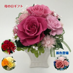 vU[uht[ ̓Mtg j aj 肪Ƃ v[g 蕨 LO zj  j ԗi  킢  bh sN IW F hCt