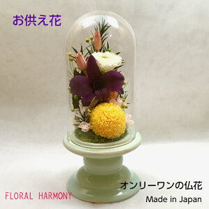 vU[uht[ KXP[X  _ KXh[ ~j  ȃKXh[蕧 d  { ͂Ȃ KXP[X蕧  dp [ r