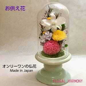 vU[uh KXP[X vU[uht[   _ KXh[ ~j   d  { ͂Ȃ KXP[X蕧  dp [ r