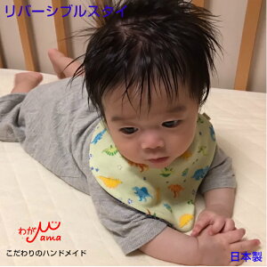 o[VuX^C o_i^xr[X^C  ۈ牀 䂤pPbg K[[X^C o[Vu 100 o_i 悾ꂩ K[[ oYj aj  