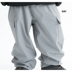 DC fB[V[ EFA DC SNOW WIDE CARGO PT 24-25(2025)f pc