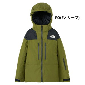 THE NORTH FACE m[XtFCX EFA GORE-TEX INSULA JK NYJ82305 24-25f WPbg LbY WjA