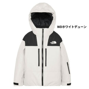 THE NORTH FACE �m�[�X�t�F�C�X �E�F�A GORE-TEX Insulation Jacket NSJ62501 25-26 ���f�� �W���P�b�g �W���j�A