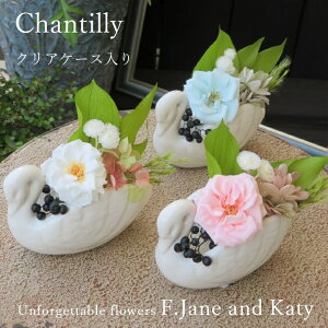 P[X ͂Ȃ vU[uht[ uU[ht[ uU[ht- vU[h j   v[g  Mtg  o u[  c a LO