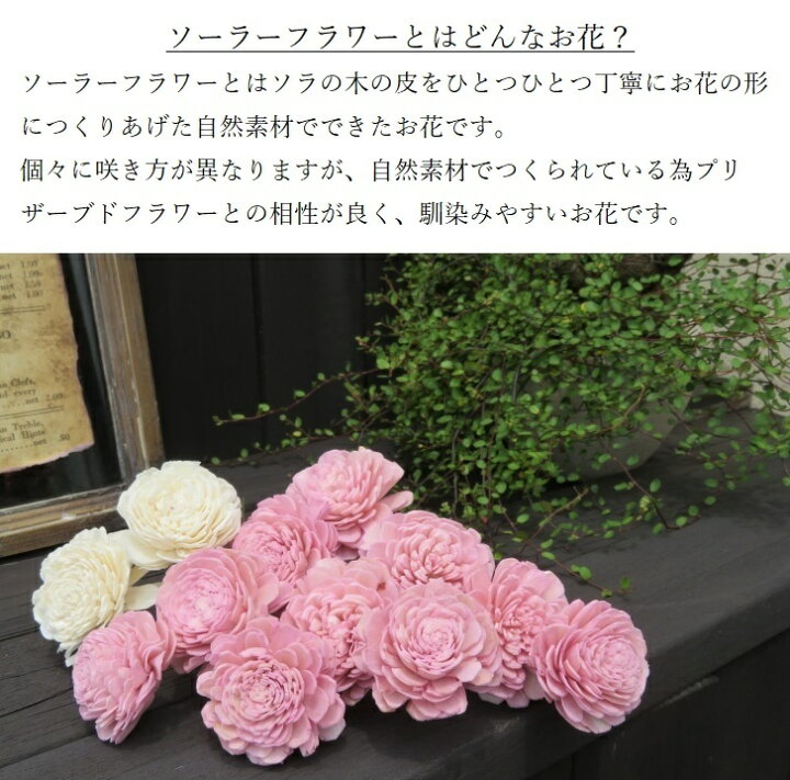 楽天市場 プリザーブドフラワー 枯れない花 ギフト ナチュラル 敬老の日 プレゼント 花 敬老 お祝い おしゃれ フラワーバスケット 花ギフト バラ かご 男性 女性 誕生日 記念日 結婚祝い 開店祝い 退職祝い 母の日 ハロウィン お見舞い 米寿 祖母 カーネーション ピンク 楽天市場 プリザーブドフラワー 枯れない花 ギフト ナチュラル 敬老の日 プレゼント 花 敬老 お祝い おしゃれ フラワーバスケット 花ギフト バラ かご 男性 女性 誕生日 記念日 結婚祝い 開店祝い 退職祝い 母の日 ハロウィン お見舞い 米寿 祖母 カーネーション ピンク