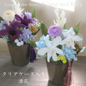 P[X vU[uht[    ͂Ȃ l\@v    ̉ e   AWg Mtg { dp 蕨 d r @