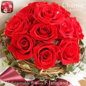 t ͂Ȃԑ vU[uht[ 100 { ̂܂܏   KN  ԑ ỏԑ ԃo _Y[Y _[Y[Y 12{  u[P v[g Mtg u