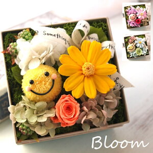 vU[uht[ ͂Ȃ  킢 ̓ v[g Mtg j BOX {bNX  ԃMtg IV t[{bNX uU[ht- vU[ht[ AW F 