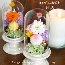 プリザーブドフラワー 仏花 お供え花 枯れない 花 ガラスドーム ガラス ドーム お供え 喪中見舞い お悔やみ 仏壇用 ミニ 仏壇 ギフト アレンジメント プリザードフラワー ブリザードフラワ‐ 法事 法要 おしゃれ かわいい ペット 命日 一周忌 三回忌 四十九日 お盆 お彼岸