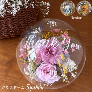 vU[uht[ v[g KXh[ h[ ͂Ȃ ͂Ȃo bZ[W a ԃMtg  a j j h[t[ Mtg ꂳa