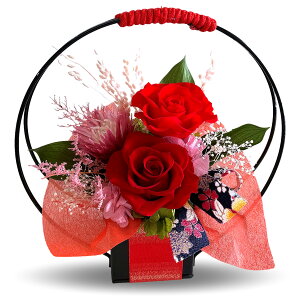 aAW  vU[ht[ a Mtg NAP[X j ԃAWg o  KN j̉  JXj җjv[g ͂Ȃ Êj j