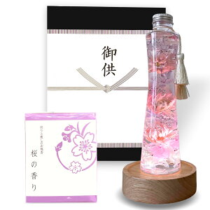 䋟p  n[oE vU[uht[ LED ԐZbg ԂƐZbg  r  dp @  Zbg  䋟 49 Zbg n[oE