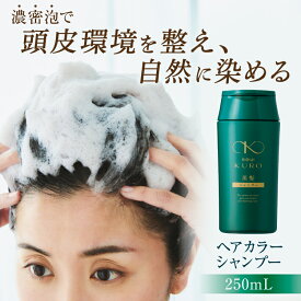 リリィジュKURO 黒髪シャンプー（250mL） | シャンプー ノンシリコンシャンプー 白髪染めシャンプー 白髪シャンプー 白髪染め 黒染めシャンプー 黒染め カラーシャンプー 白髪 レディース 女性用 ヘアカラー 無添加 白髪ケア 髪 ハリ ノンジアミン 生え際 白髪染シャンプー