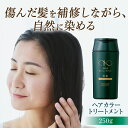 リリィジュKURO 黒髪トリートメント（250g） | ノンシリコン トリートメント ヘアケア ヘアトリートメント ヘアカラートリートメント レディース 白髪 女性用 白髪染め 保湿 白髪ケア ヘアカラー 頭皮 黒染め カラーリング 無添加 髪 ツヤ ノンジアミン 敏感肌 ホームケア