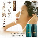 リリィジュKURO 黒髪シャンプー（250mL） ＆ 黒髪トリートメント（250g）セット | ( ヘアカラートリートメント シャンプー トリートメント 白髪 白髪染め 女性用 レディース ) ヘアカラー 白髪染めシャンプー 白髪シャンプー 白髪ケア 白髪用 無添加 毛染め 白髪染シャンプー