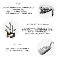 2016年モデルキャロウェイ16CallawayCWWARBIRDWARBIRD(ウォーバード)セットクラブ11点セットDR10.5、FW#5、IR#5〜PWSW、PT、キャディーバッグ(メンズセット)【ゴルフクラブ】