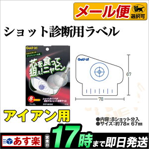 LITE Golf it ショットマーク ソールつきアイアン用 【練習器具】 LT G-99 【ゴルフグッズ用品】