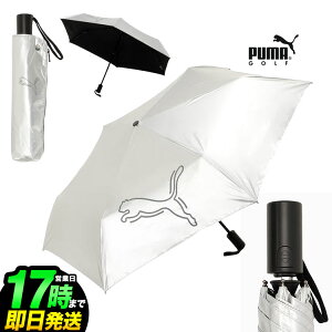y{Kiz2025N PUMA v[} St 055000 VhELbg Wv Au 55 P [UVJbg99ȏ/Ռ99ȏ]