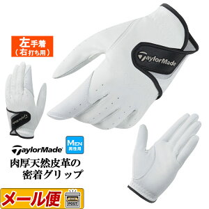 e[[Ch St TaylorMade TJ161 p[oCg O[u (蒅/Ełp) (Y)