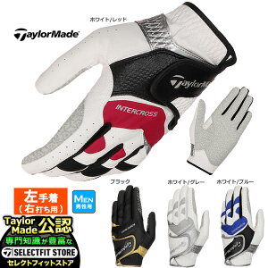 TaylorMade e[[Ch St UN146 C^[NX 6.0 O[u (蒅/Ełp) (Y)