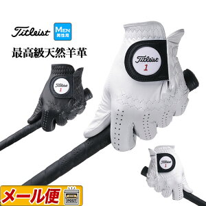 y{Kiz Titleist ^CgXg St TG73 JP Professional 73 MAR NEW vtFbVi O[u (EpƍpꃂfƂȂ܂)iYj