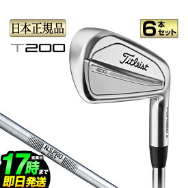 【日本正規品】タイトリスト ゴルフ Titleist 2023年モデル T200 23 アイアンセット 6本組(＃5-P) N.S.PRO 105T NSプロ スチールシャフト