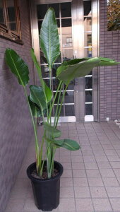 ŝ݂ł肢܂B@^ϗtA@Xg`A@I[KX^@10