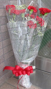 2025年母の日 赤のカーネーションとカスミ草の花束10本 送料無料ギフト