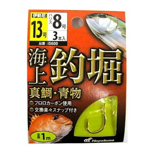 Cޖx t ^E IS600 j13-nX8 ylR|X Ώۏiz