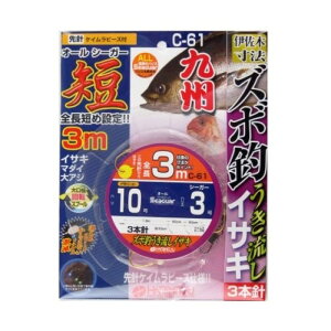 n~c Y{ނ肤 CTL 3{j 3m C-61 j10-nX3 ylR|X Ώۏiz