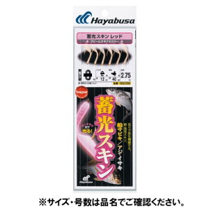 nuT Hayabusa ~XL DTrL AWECTL bh SS300 b10-nX3 ylR|X Ώۏiz