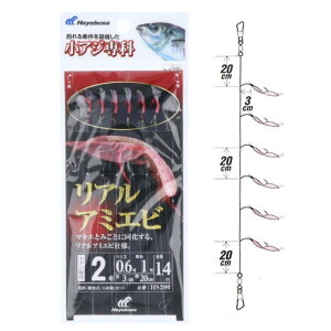 AW AA~Gr HS200 j2-nX0.6 ylR|X Ώۏiz