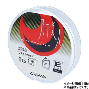 _C(Daiwa) l TYPE-E  200m 2lb ylR|X Ώۏiz