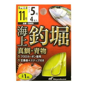 Cޖx t ^E IS600 j11-nX5 ylR|X Ώۏiz