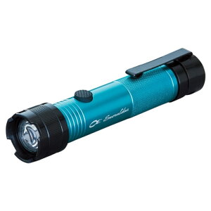 _C(Daiwa) G_X UVCga ylR|X Ώۏiz